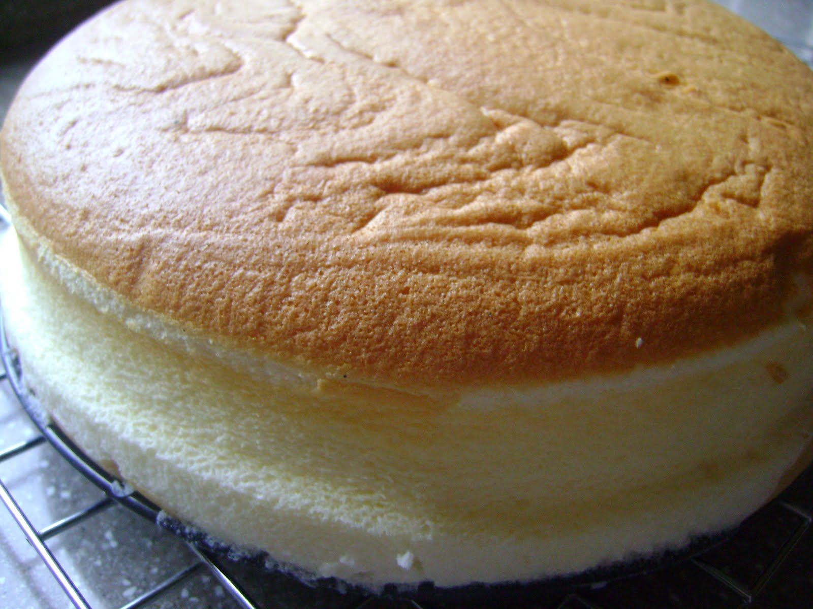 Suleika's Blog (Recipe to All): COTTON SOFT CHEESE CAKE