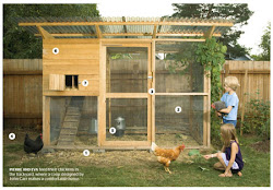 coop chicken necessities soby im coops