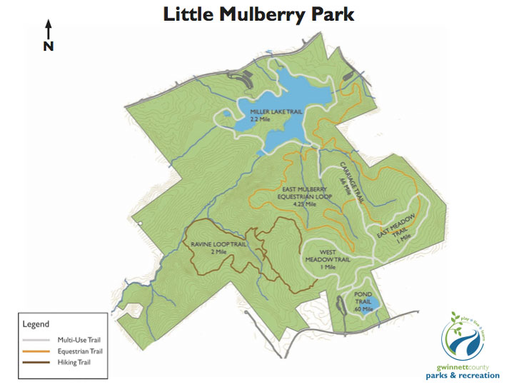 Anybody Seen My Focus? County Little Mulberry Park Miller