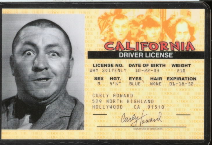 MIKE'S HOUSE OF WHACKS CURLY'S DRIVER'S LICENSE