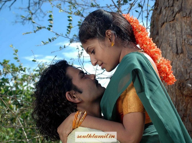 [Image: 23-02-2010-3163-2-8.jpg]