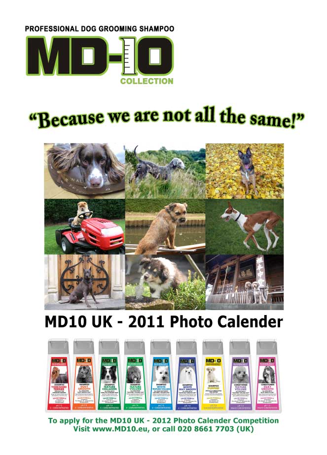 Professional Dog Grooming Shampoo MD10 Collection Champu para Perros