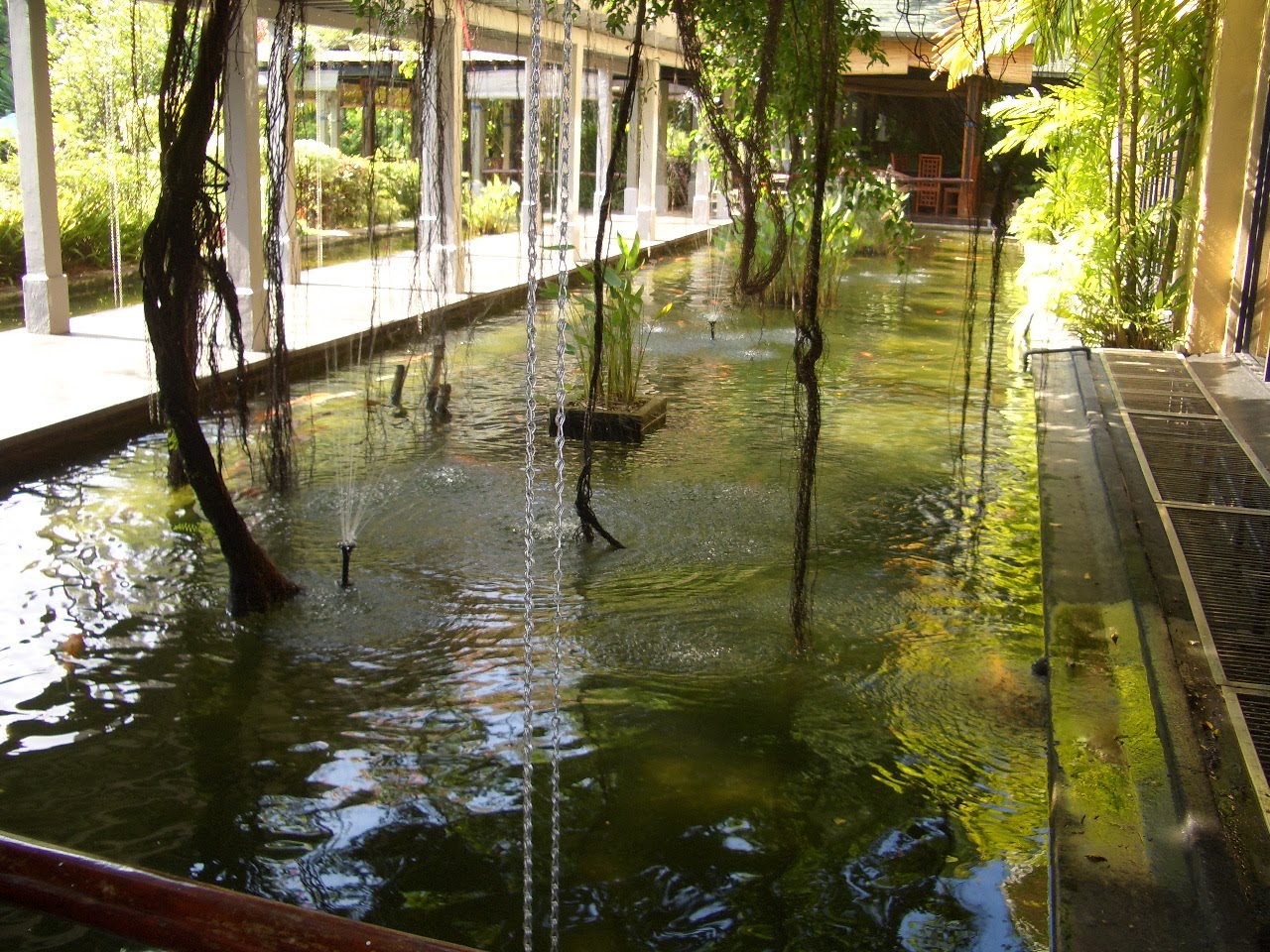 restaurant with koi pond