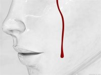 [A IGREJA CATÓLICA NÃO ENGANA OS SEUS FIÉIS]