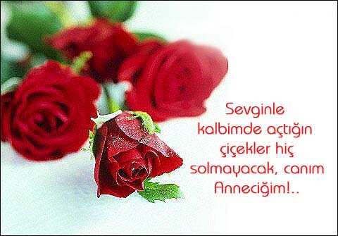 Rsimli şiirler-Anneciğim