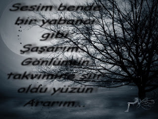 ararim.jpg