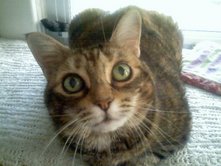 [I'm+really+a+killer.jpg]