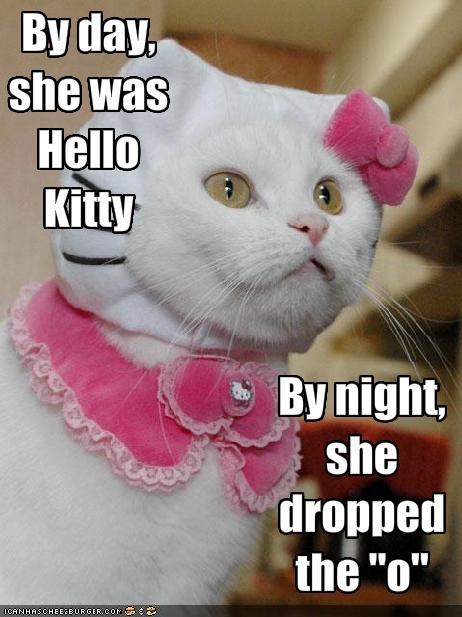 [funny-pictures-cat-dresses-as-hello-kitty-by-day.jpg]
