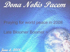 Blogging for Peace