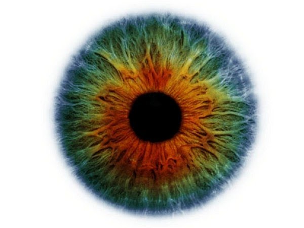 Imagenes del Ojo y Colores del Iris, la compleja Belleza de la Mirada