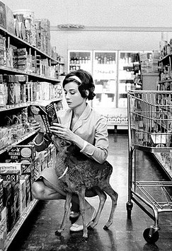 [hepburn-shopping-in-beverly-hills-with-ip-1958+cropped.jpg]