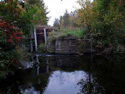 The Old Hector Dam