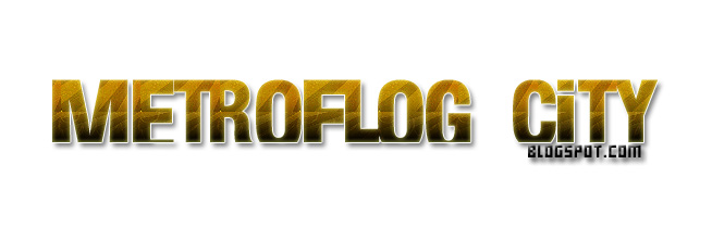 Metroflog City