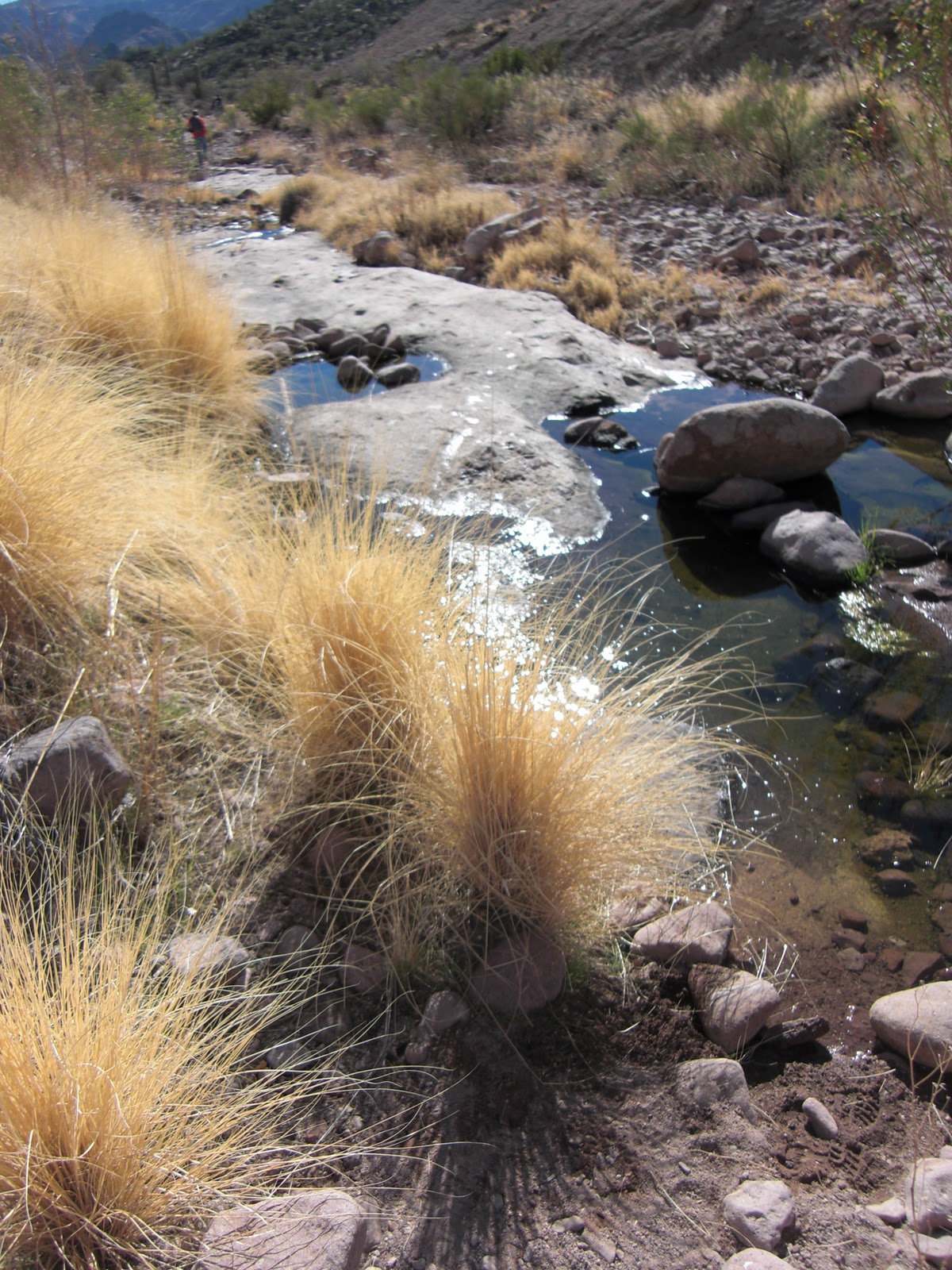 Our Hiking Mystery: Hackberry Springs Loop