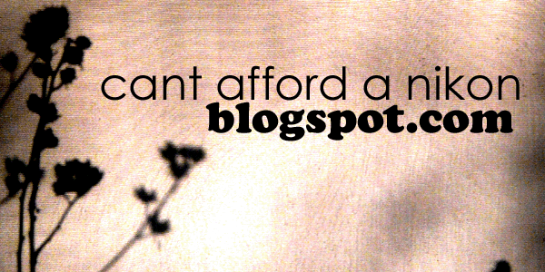 can't afford a nikon
