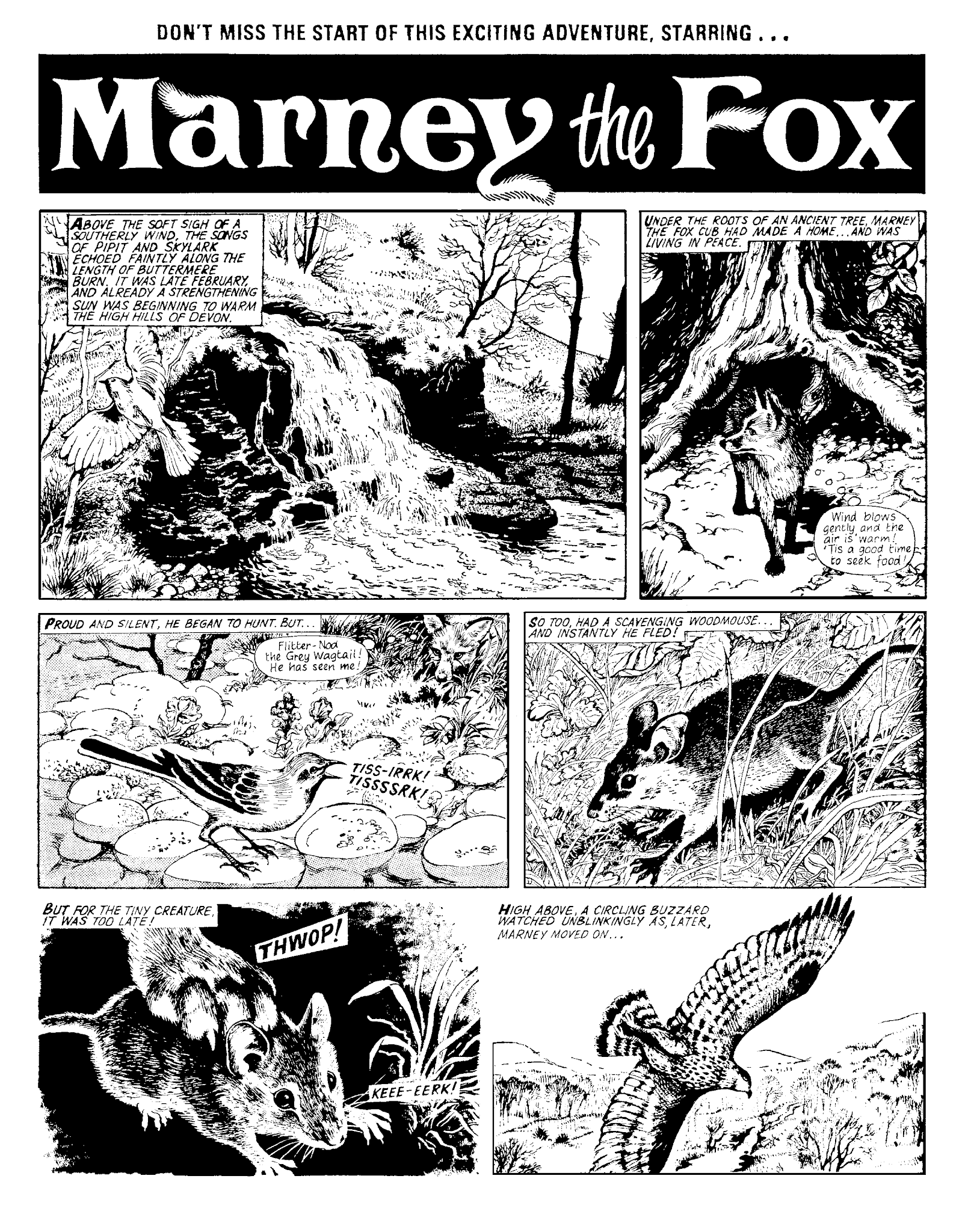 Read online Marney the Fox comic -  Issue # TPB (Part 1) - 67