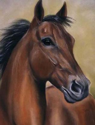 [retrato-caballo.jpg]