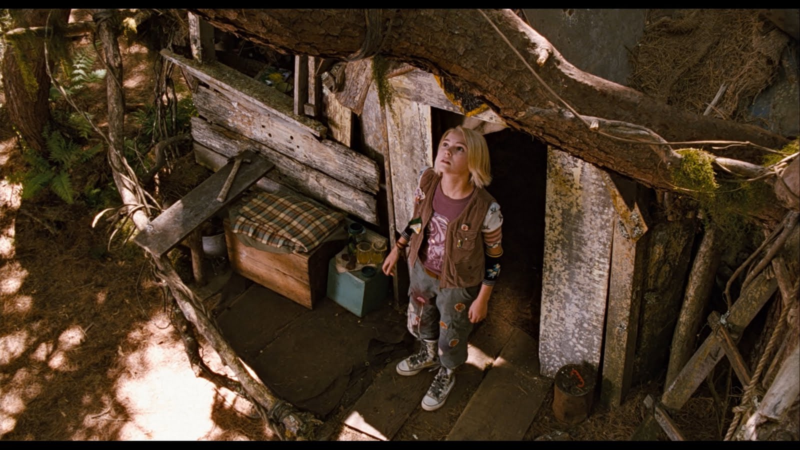 Bridge To Terabithia Bridge