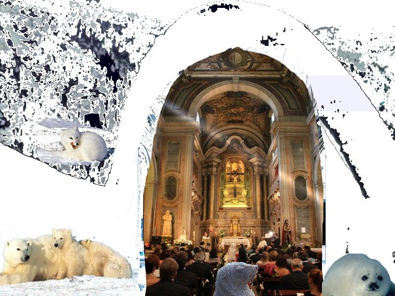 [casamento_polar.jpg]