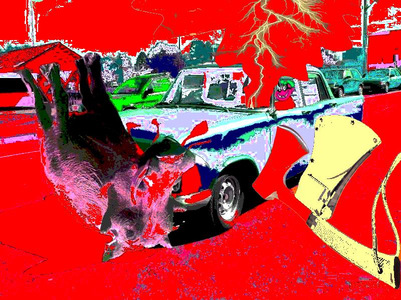 [atropelamento_facochero2.jpg]