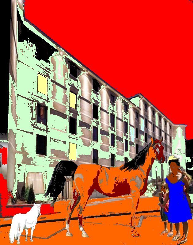 [cavalo_miniatura.jpg]