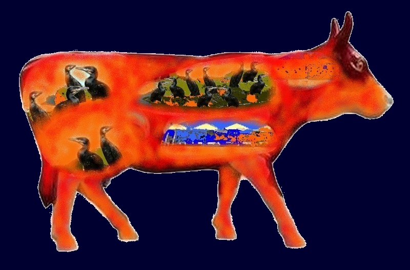 [cowparade_corvos.jpg]