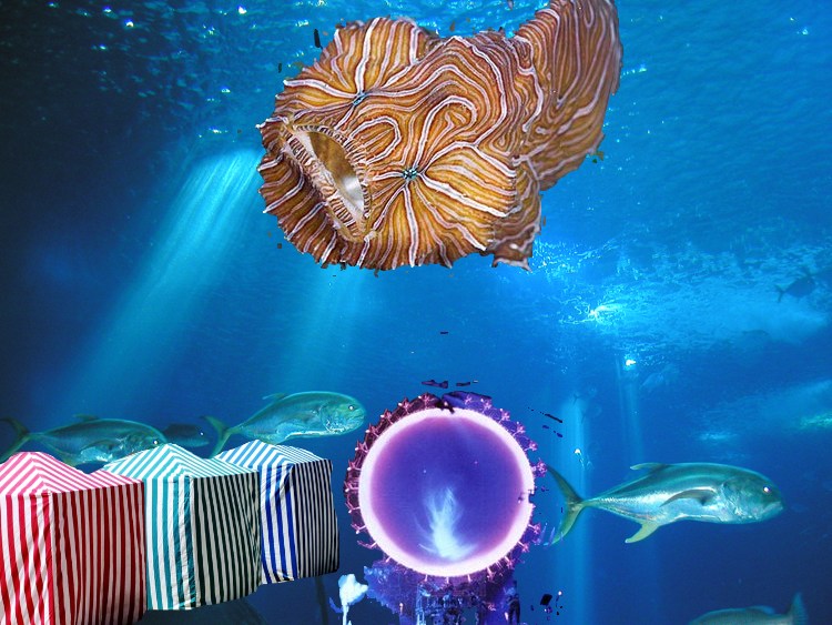 [peixe_psicadelico.jpg]