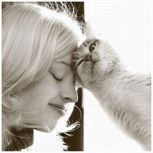 funnymals__10.jpg
