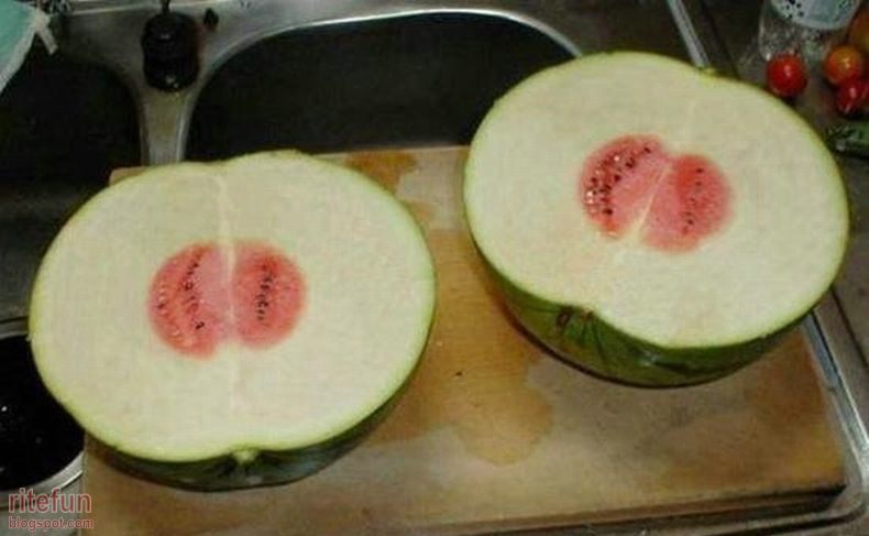 Rite_Fun__10018.jpg