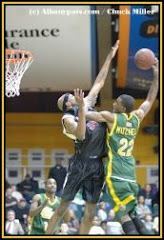 Albany Patroons