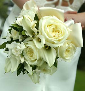 [Blog+White+Rose+Bouquet.jpg]