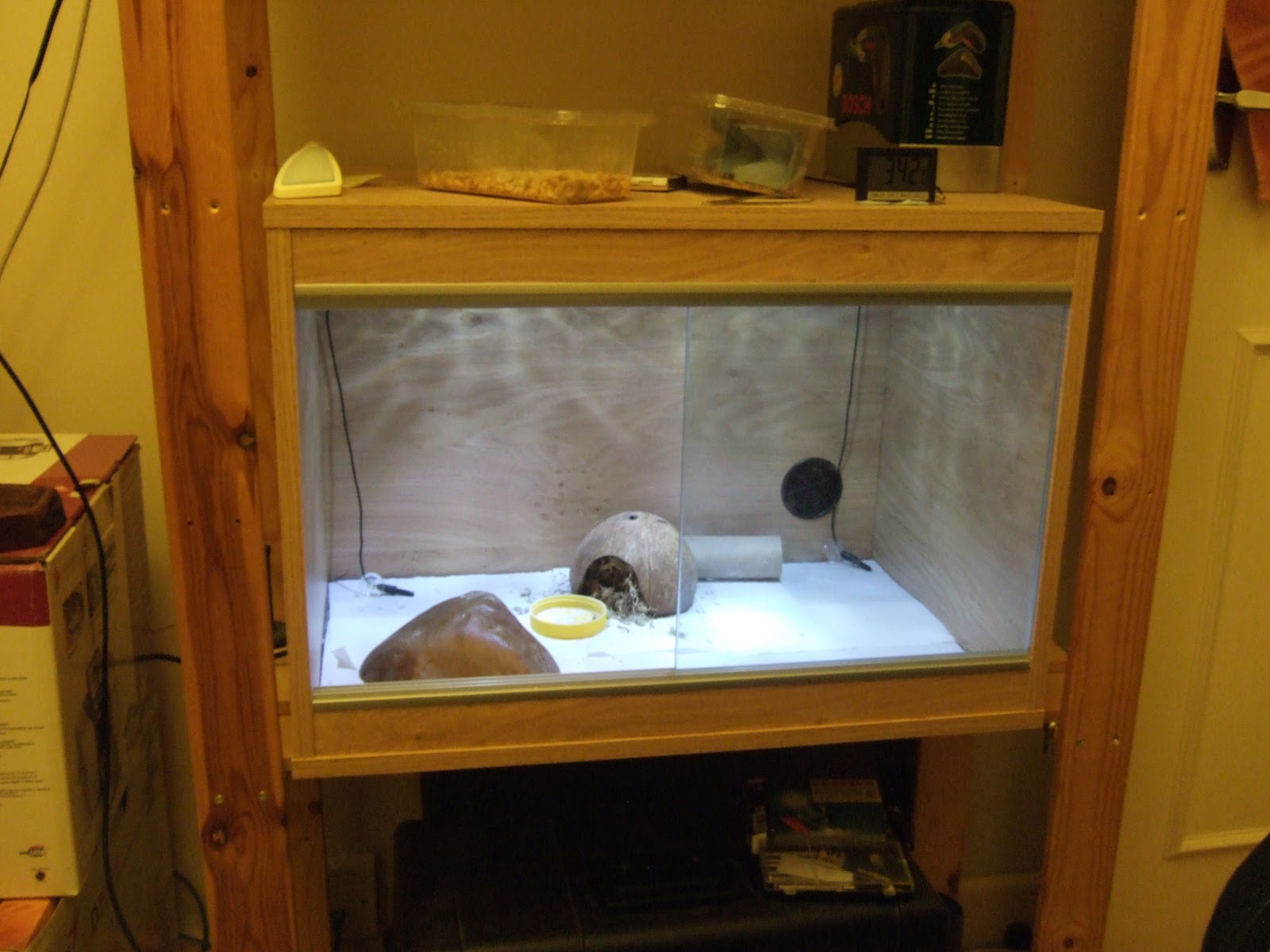 The Leopard Gecko Care Sheet