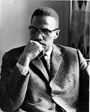Malcolm X<br>An Intelligent and Vigilant<br>Nubian Knight Hero