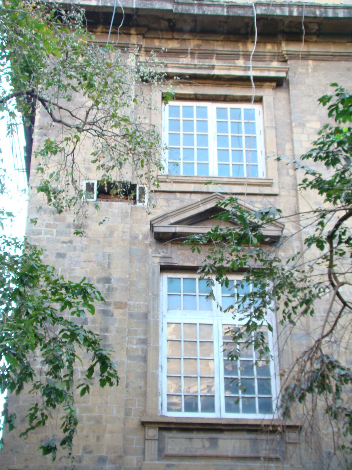 [DSC05101.JPG]