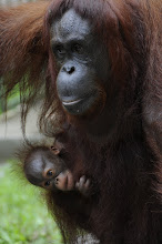 Selima with child at Semmong