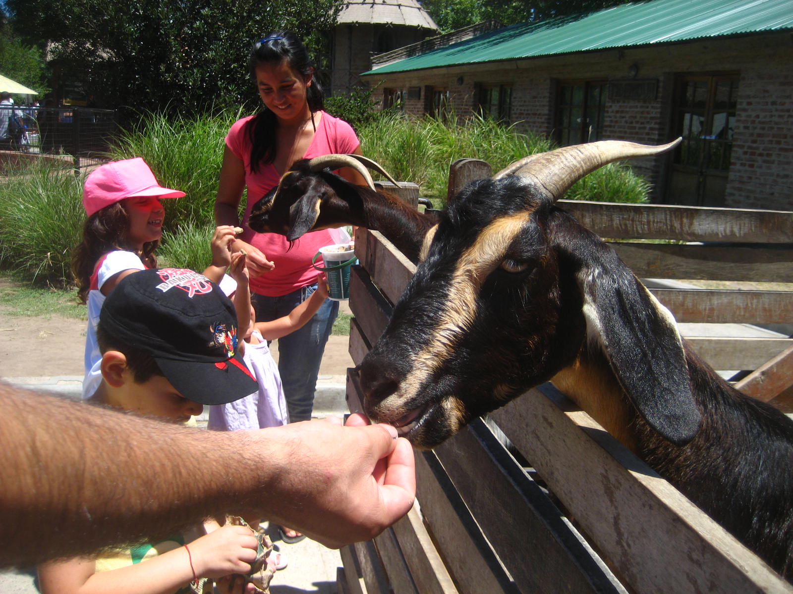 Leanna's Argentina Brazil Getaway The Zoo Animal Feeding Experience