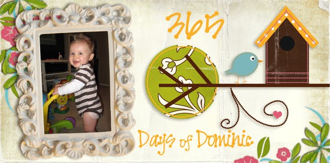 (Almost) 365 days of Dominic