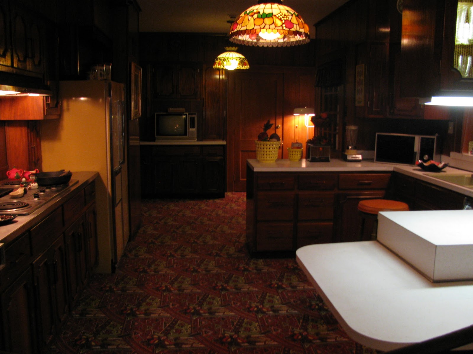 Adams Adventures Down In the Jungle Room