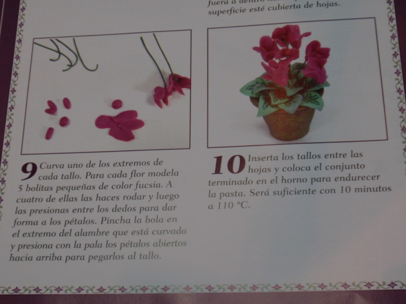 [paso+a+paso-planta+(5)+[800x600].jpg]