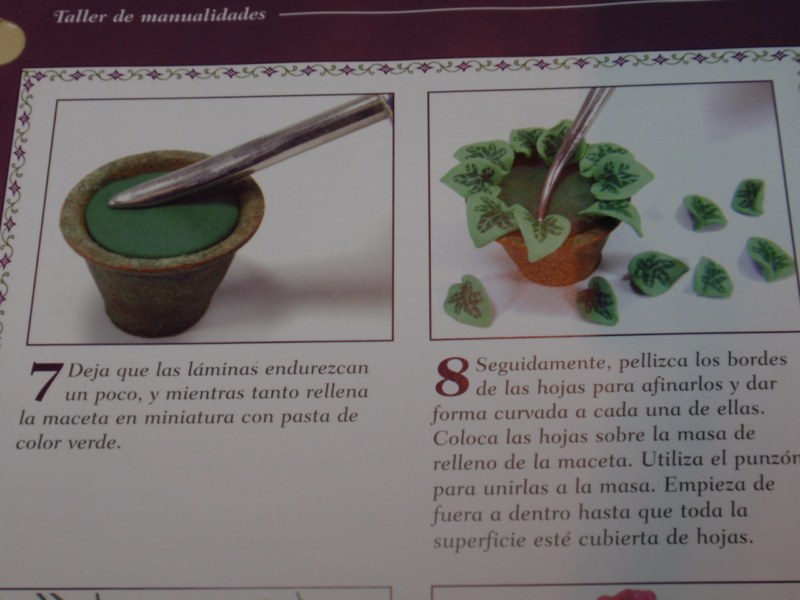 [paso+a+paso-planta+(4)+[800x600].jpg]