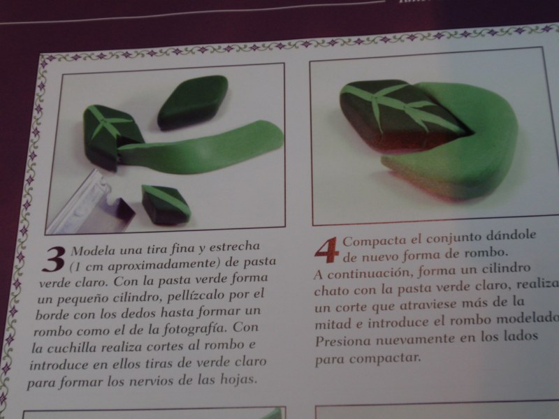 [paso+a+paso-planta+(2)+[800x600].jpg]