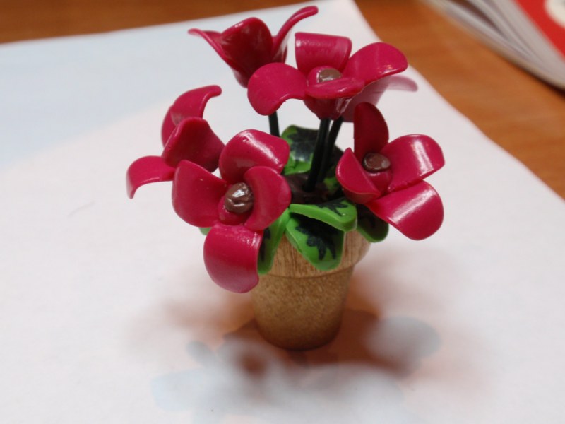 [planta-real+[800x600].jpg]