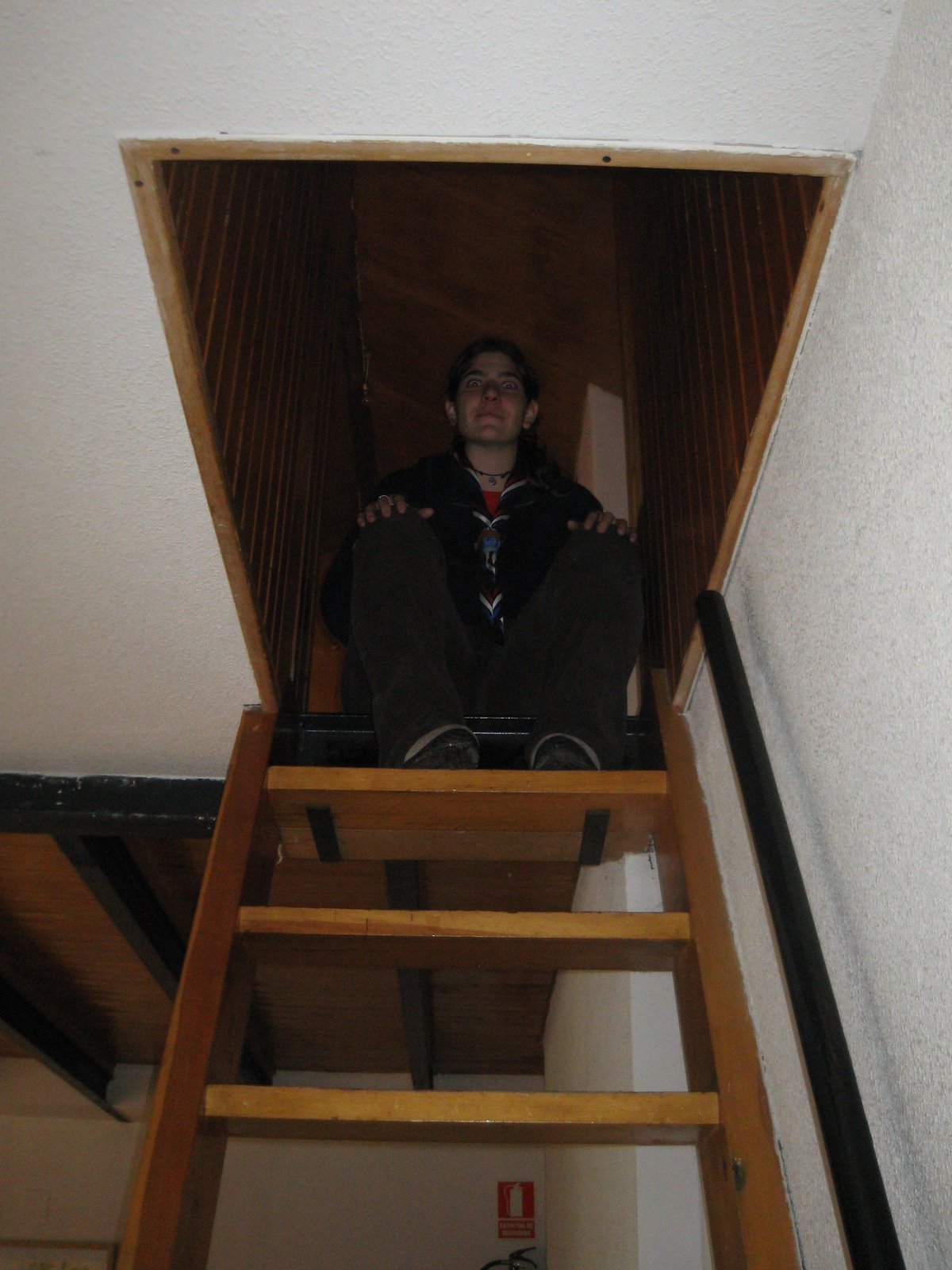 [Baloo+en+la+escalera.JPG]