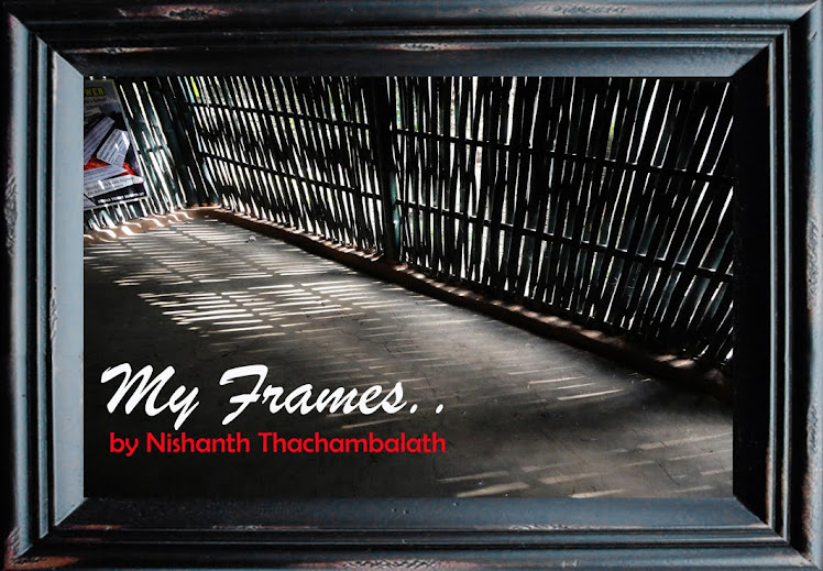My Frames