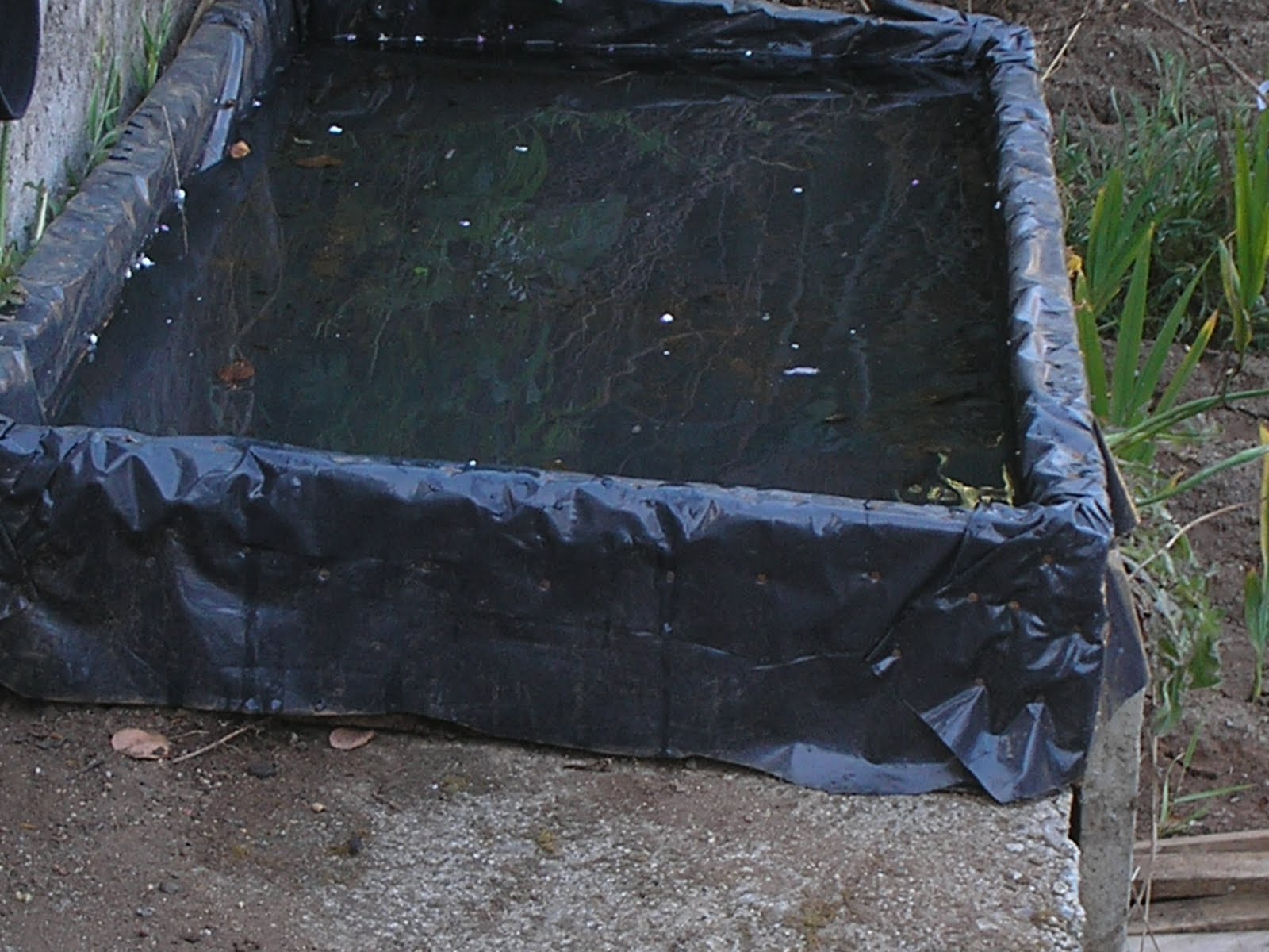 La aventura de sembrar: Un Huerto Hidropónico