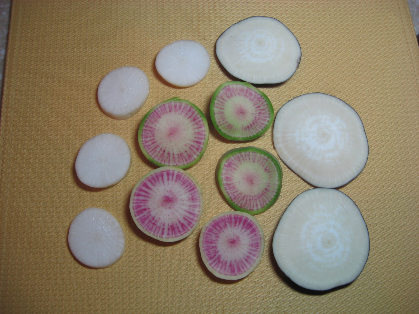 Tangerine Travels Radishes Dependable Sprouts!