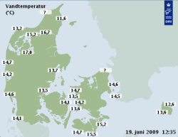 Här hittar du vattentemperaturen i Öresund