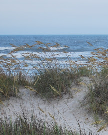 Beautiful North Myrtle Beach, SC