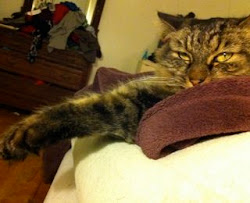 Cleo and the Pea
