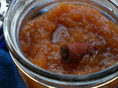 Slow-cooked applesauce from Courtney at Coco Cooks blog